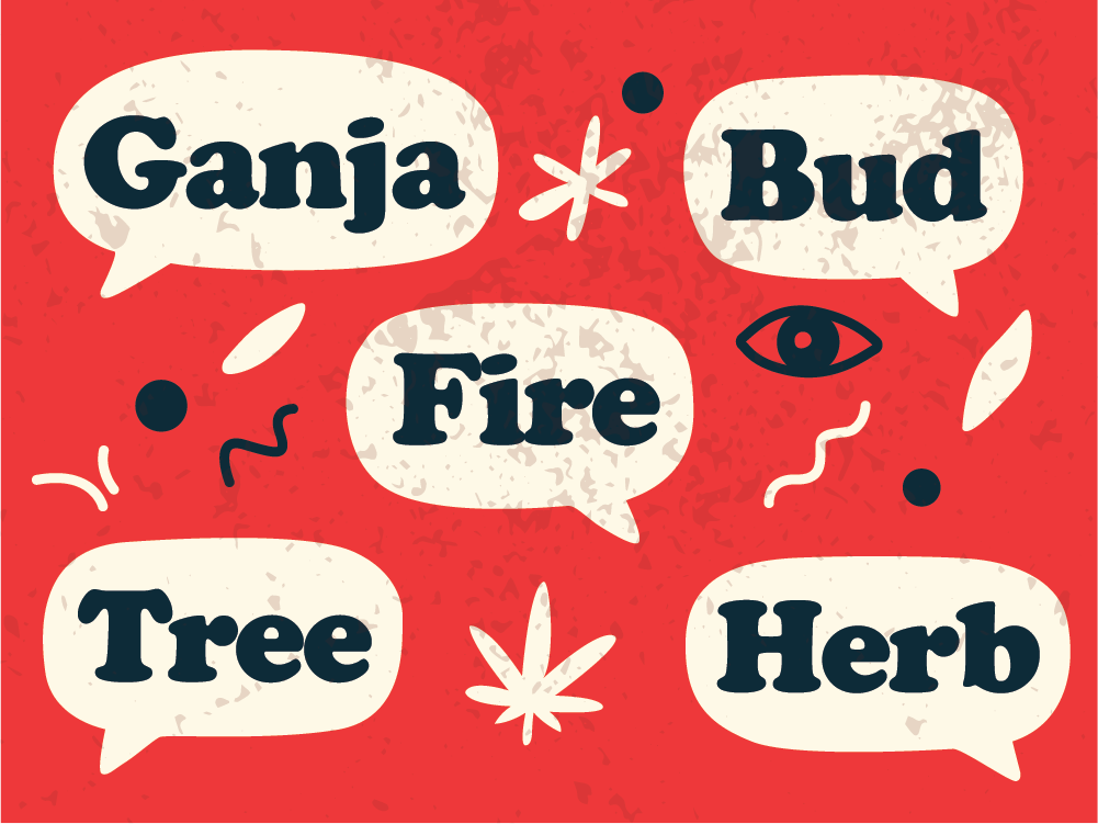 Illustration featuring cannabis slang terms like Ganja, Bud, Herb, Tree, and Fire in speech bubbles with stylized weed leaves and vintage textures