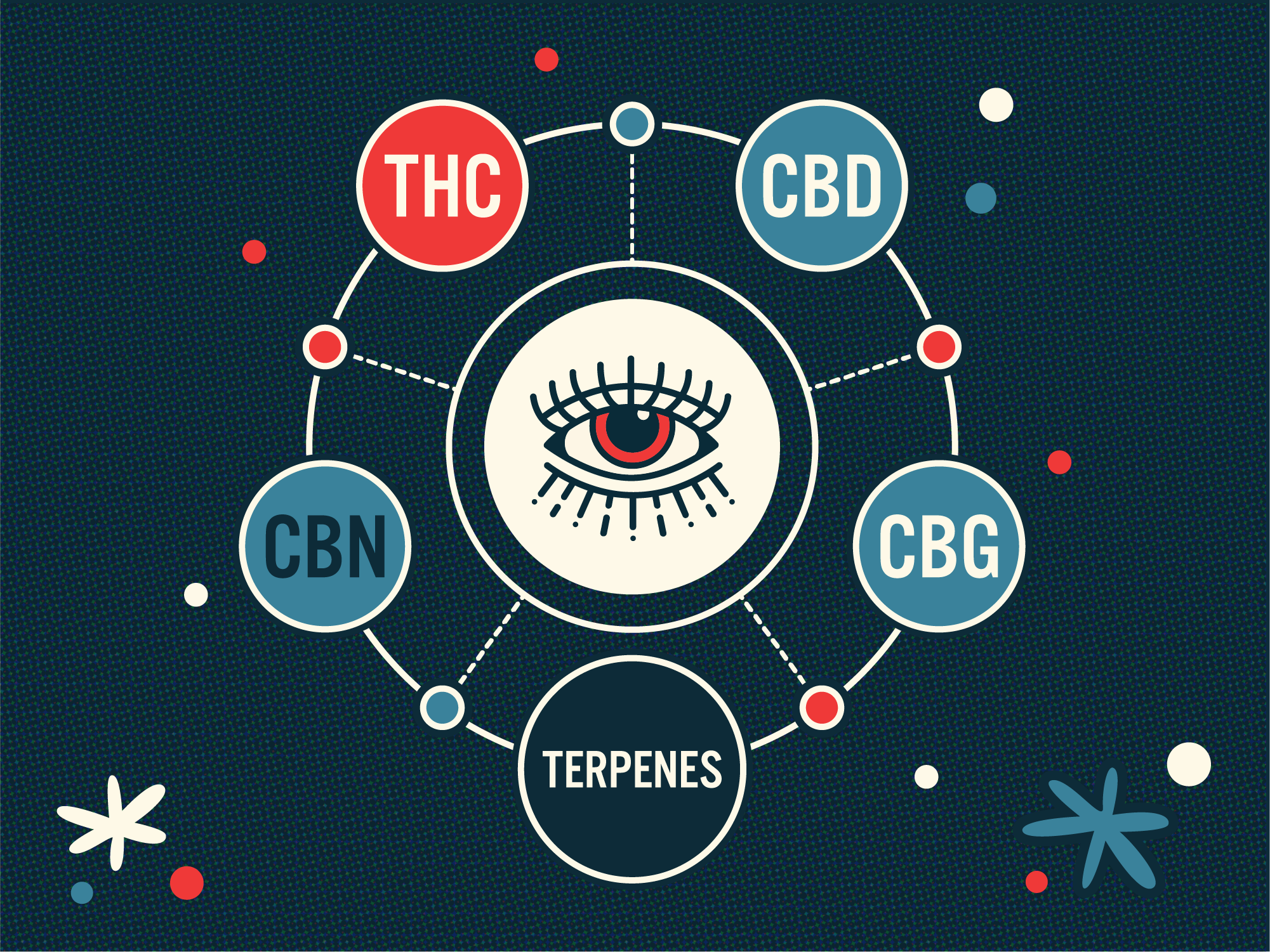 Illustrated infographic showing THC, CBD, CBG, CBN, and terpenes connected around a central eye symbol in a retro-style cannabis compounds diagram.